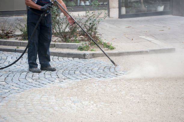 Best Sidewalk and Walkway Cleaning  in Salisbury, NC